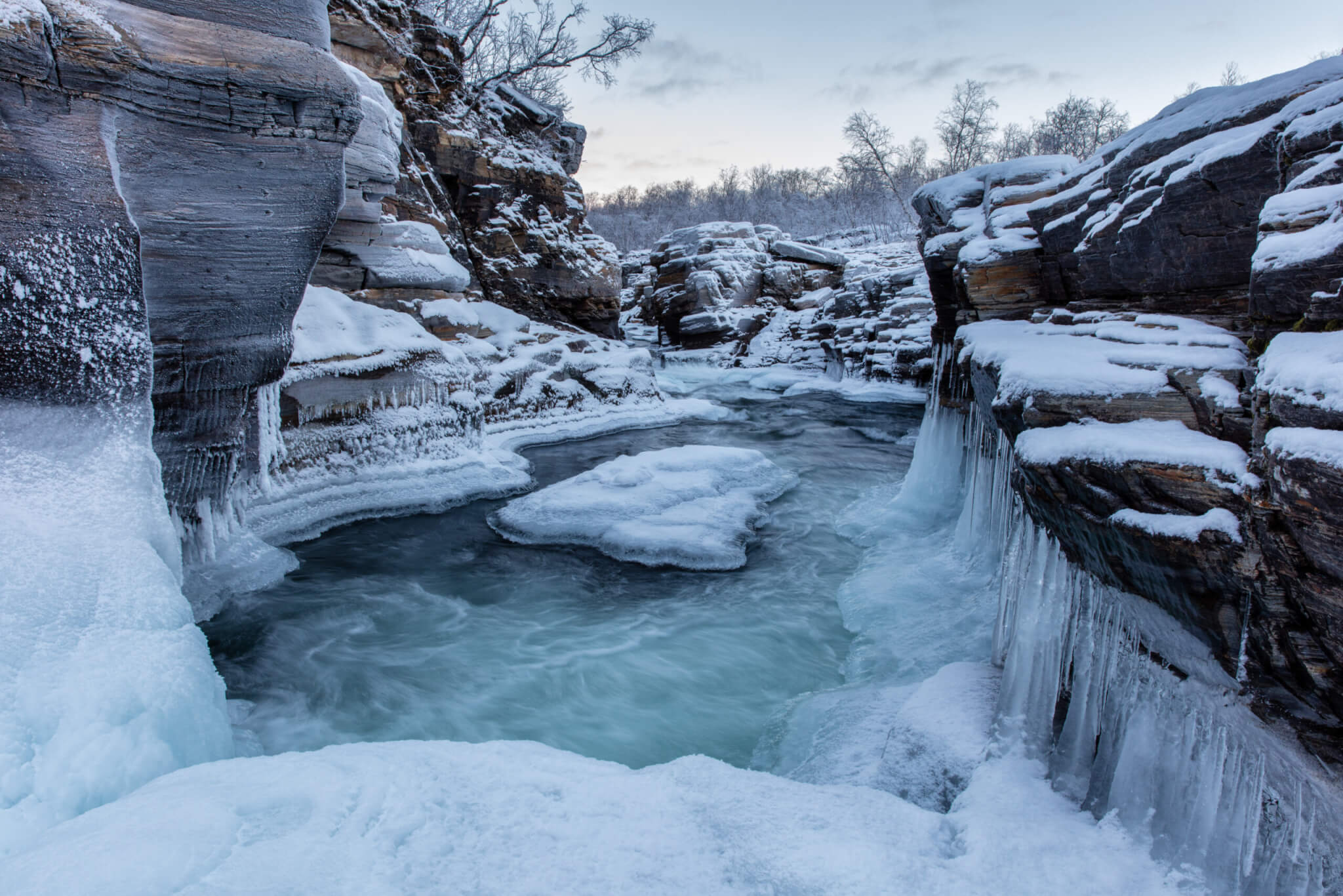 Abisko National Park