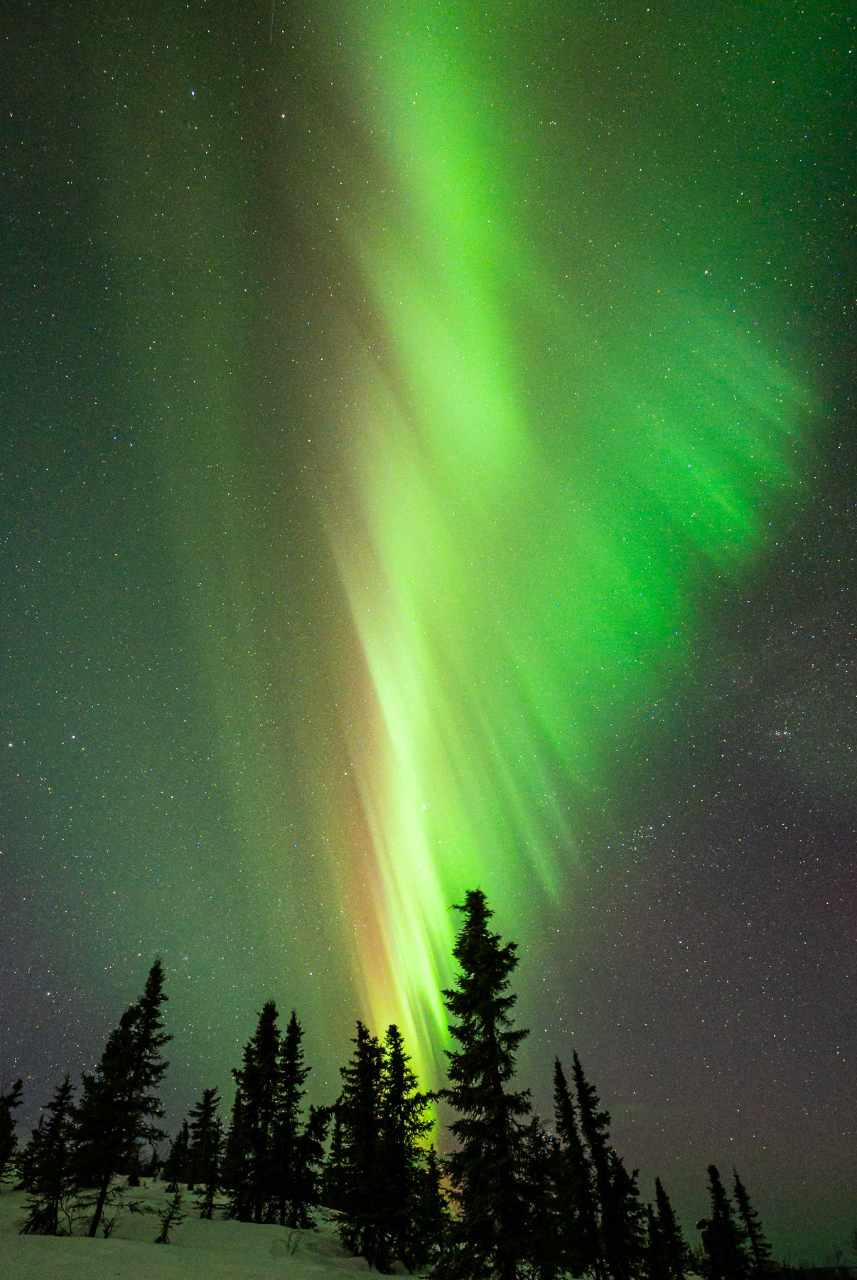 Where Can You See Aurora Borealis in South Dakota?