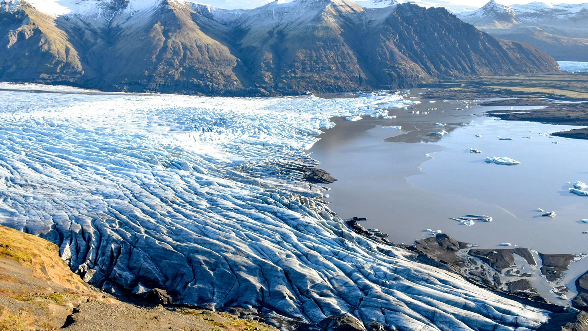 Northern Lights in Iceland: A Celestial Symphony