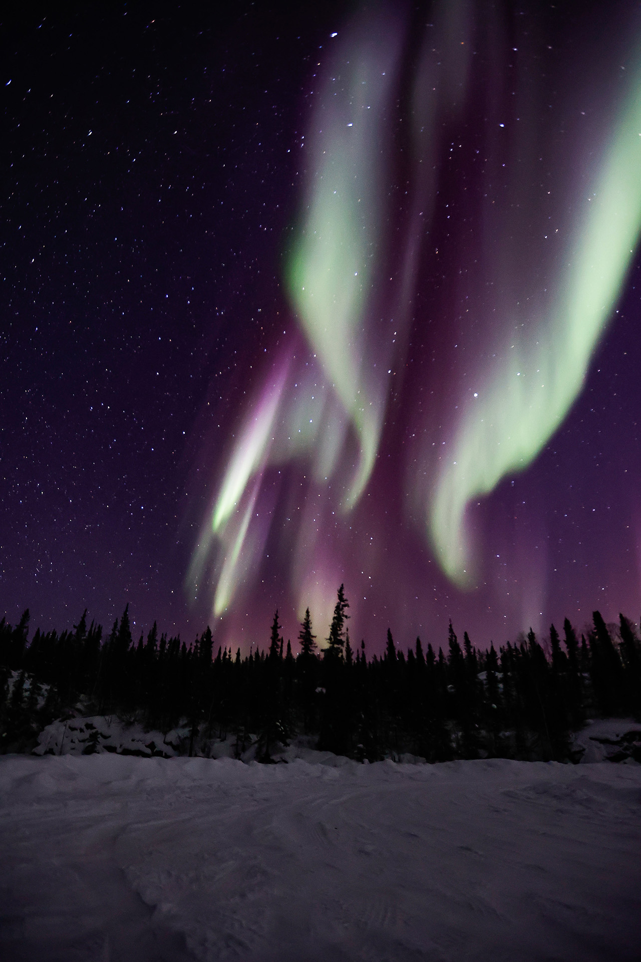 Where Can You See Aurora Borealis in Montana?