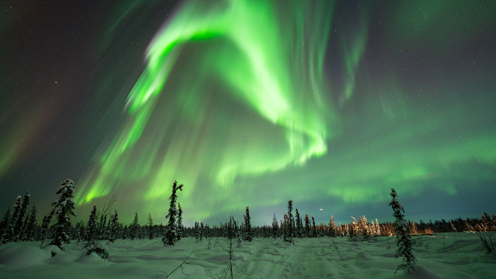 Where Can You See Aurora Borealis in Alaska?