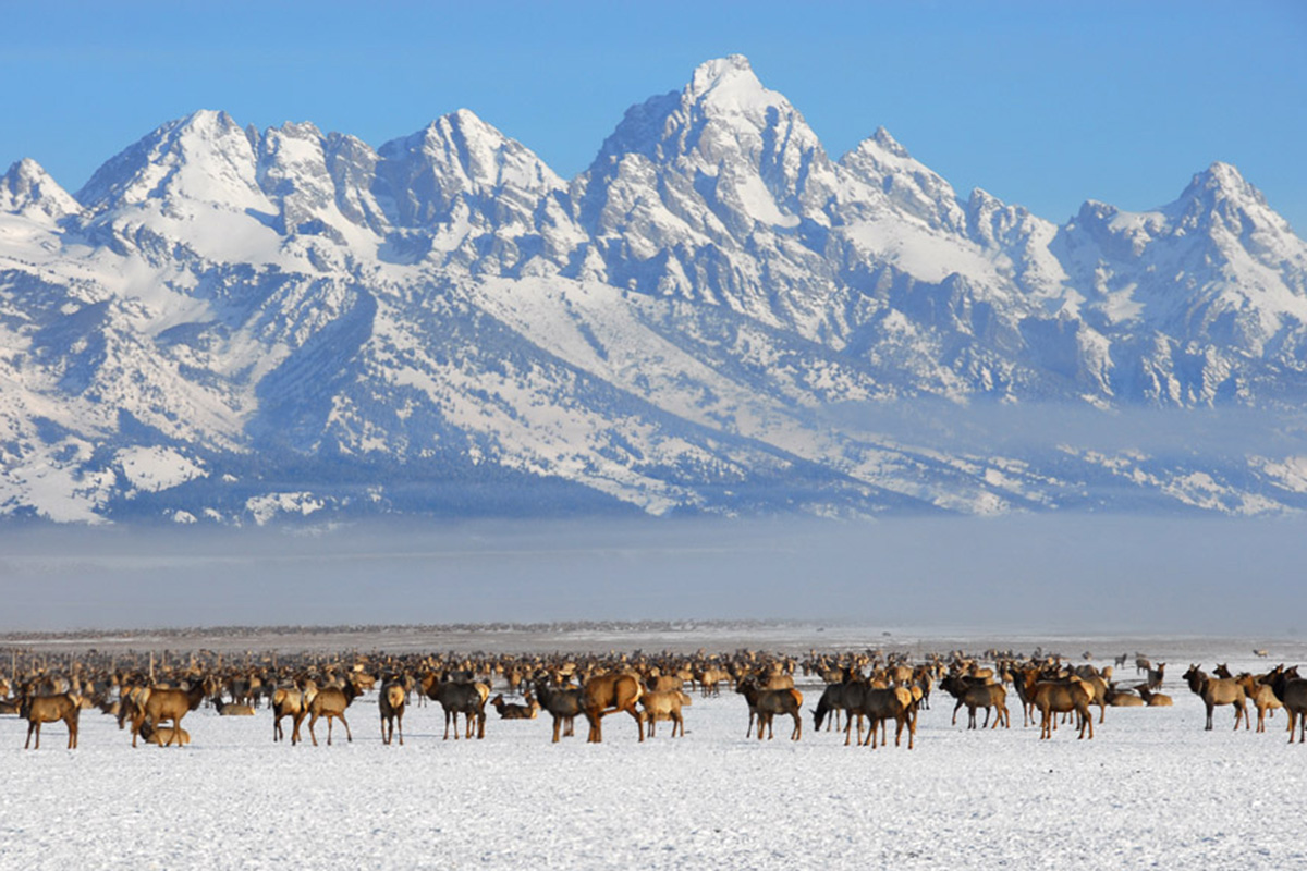 Where Can You See Aurora Borealis in Wyoming?