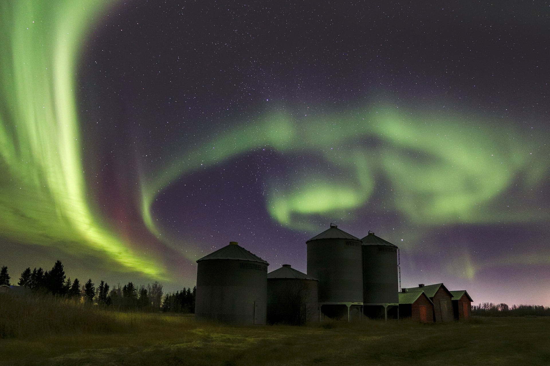 Where and When to Watch Aurora Borealis in Newfoundland and Labrador