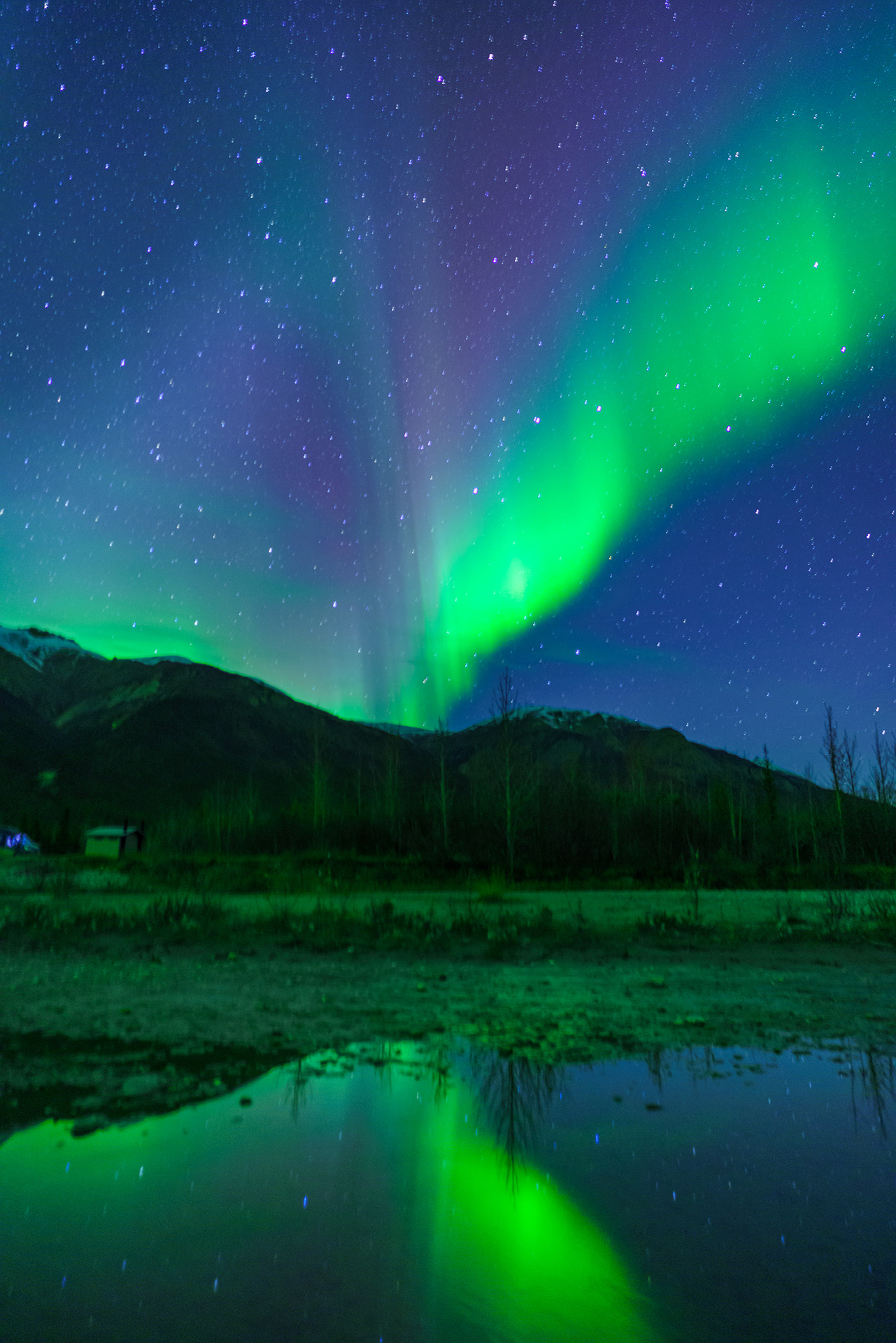 Where and When to Watch Aurora Borealis in British Columbia