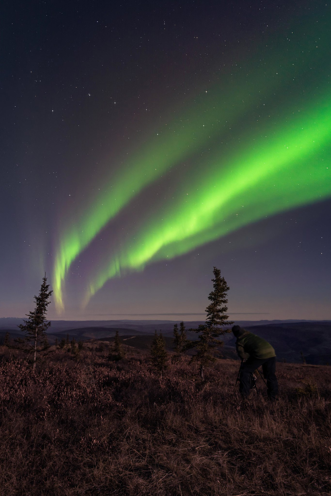 Where and When to Watch Aurora Borealis in Yukon